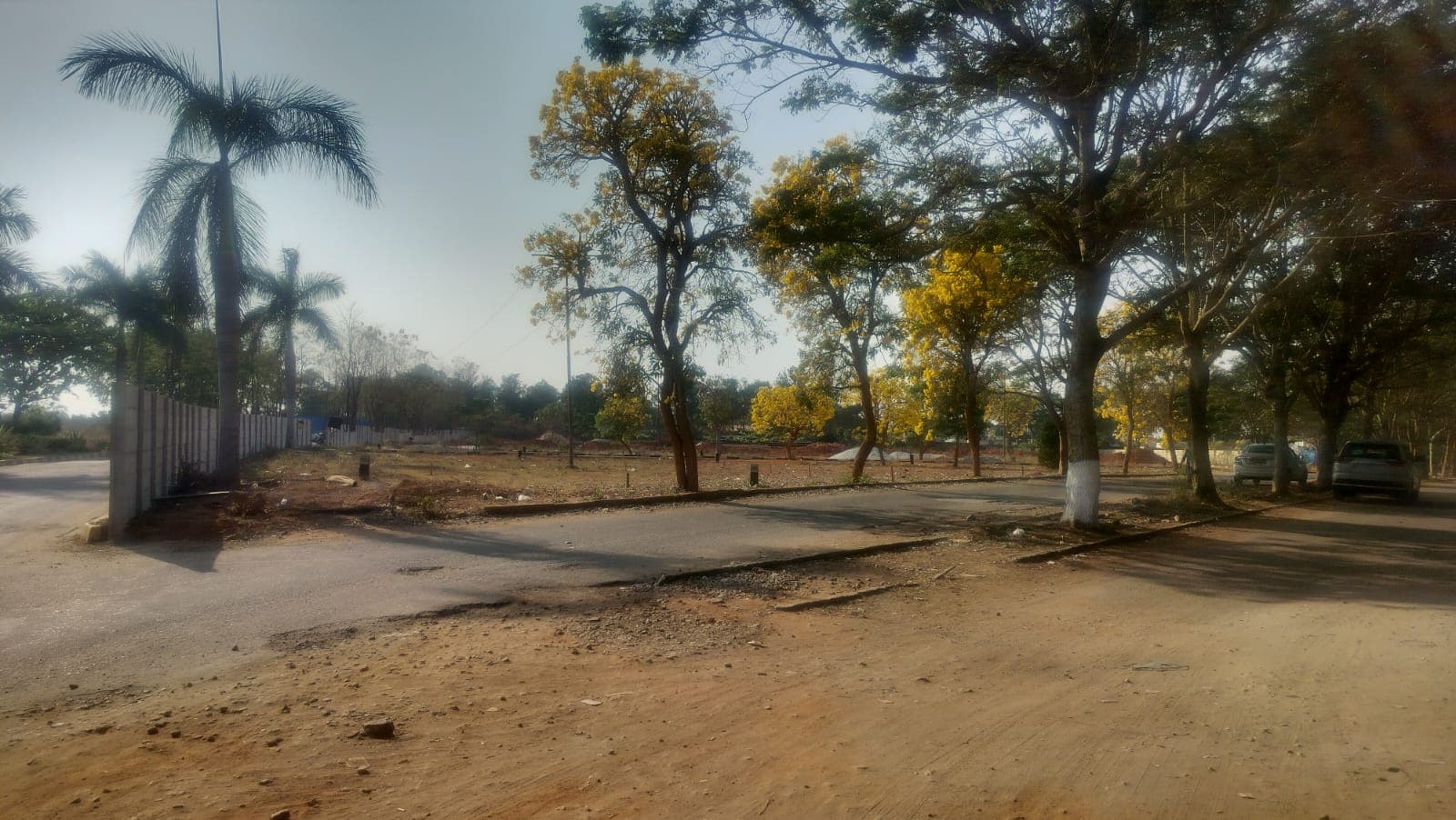 Natures Boulevard site photograph 1