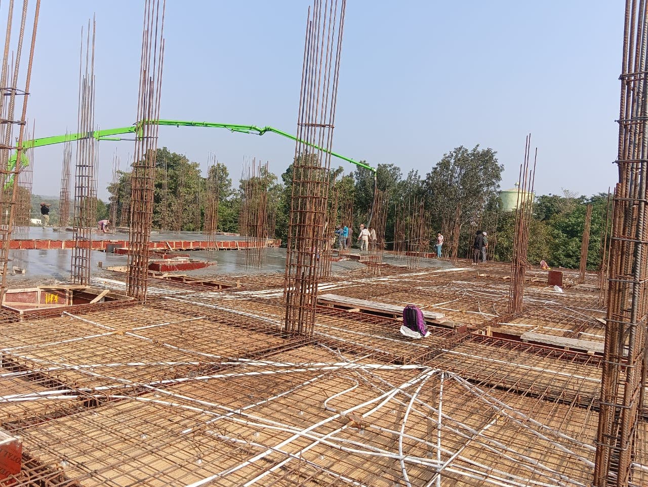 Vasudharini Nest site photograph 1