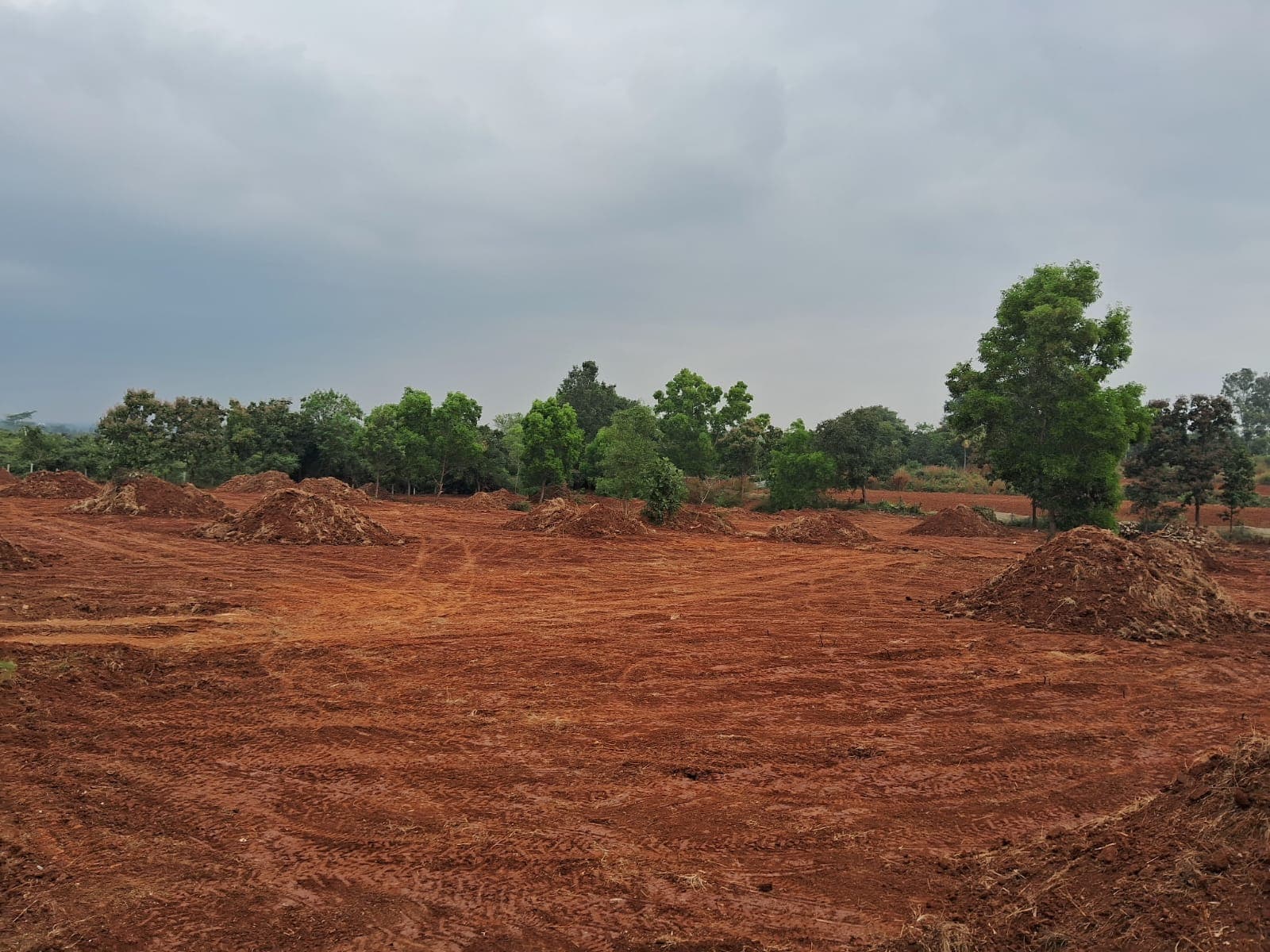 Chartered Gulmohar site photograph 1
