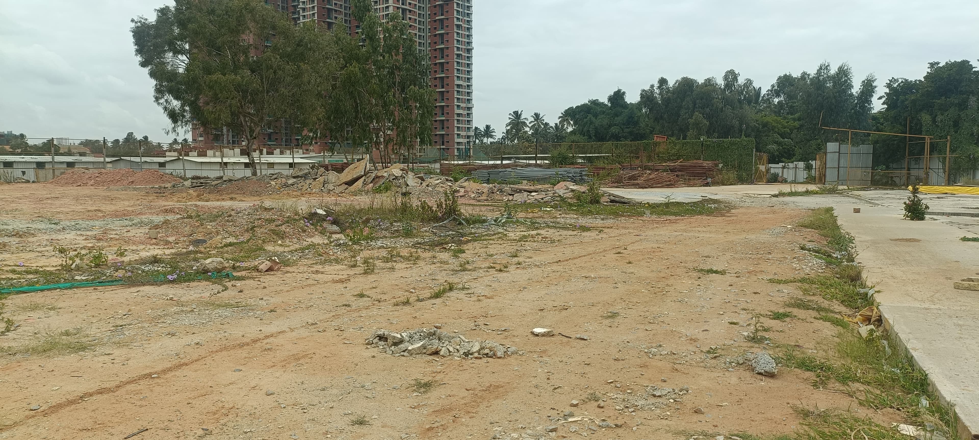 In That Quiet Earth Phase 2c site photograph 1