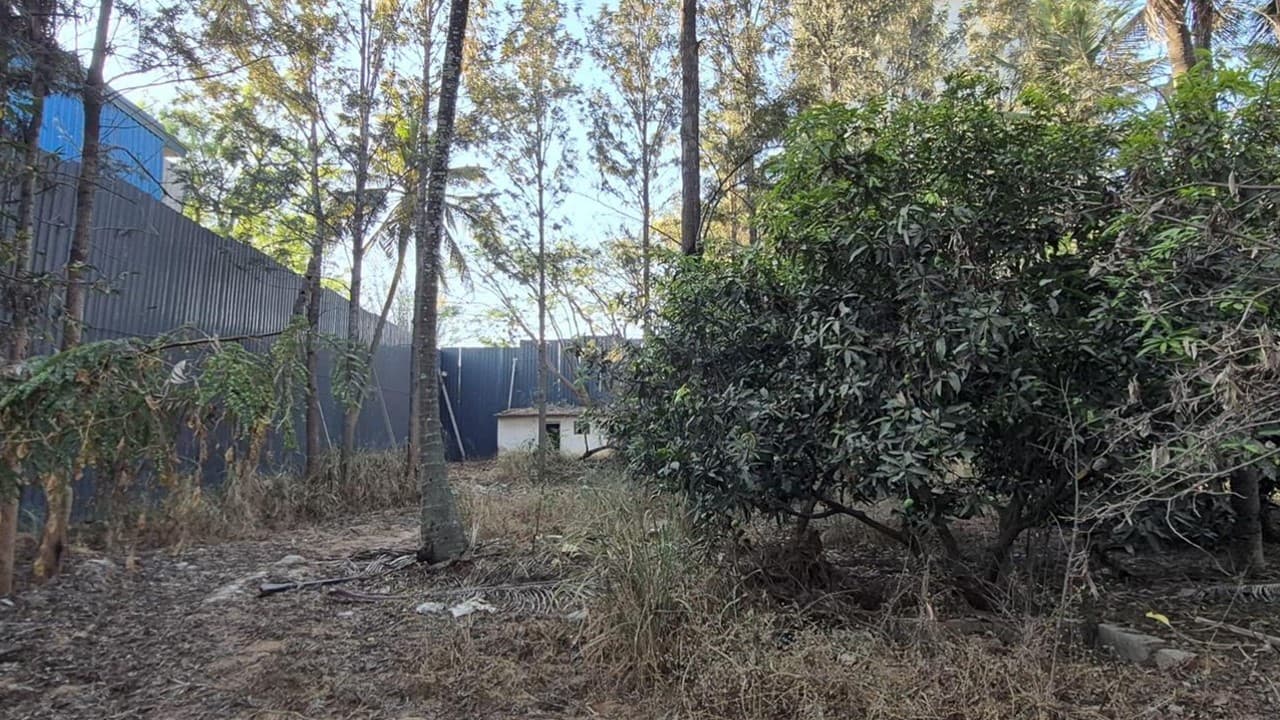 Brigade Belvedere site photograph 1