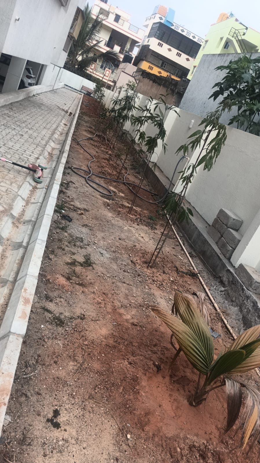 Sdmv Elite site photograph 1