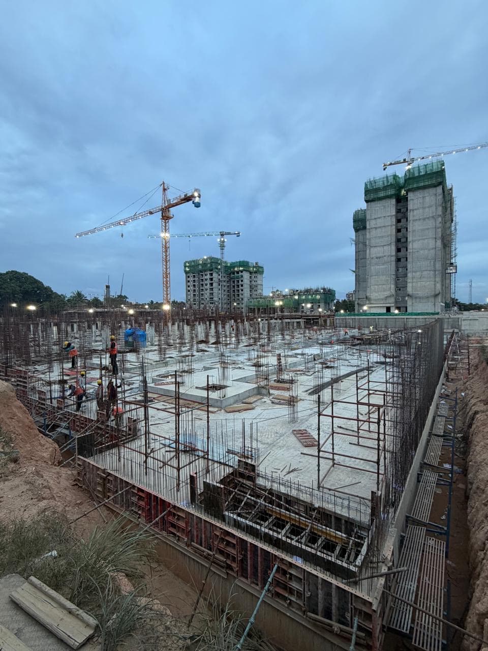 Sattva Songbird, Registered 6 Sep 2024: site photograph 1