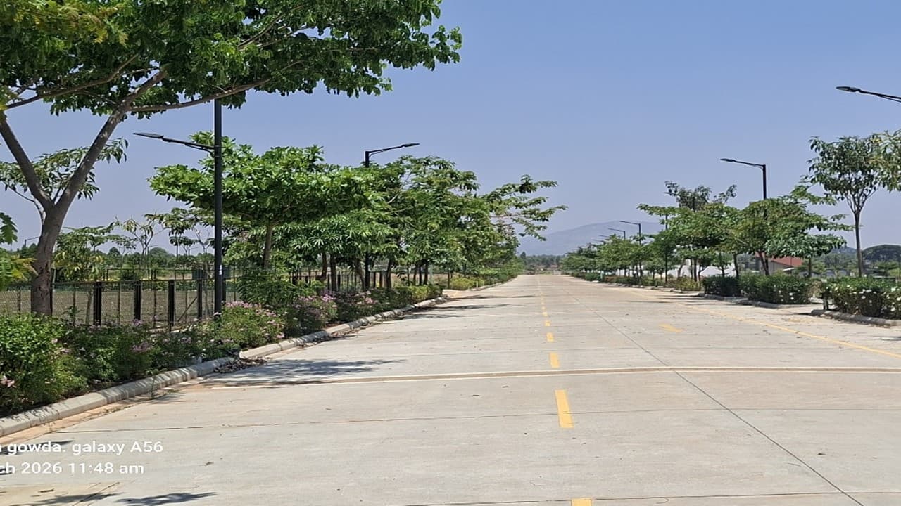 Brigade Oasis, Phases 1-3: site photograph 2