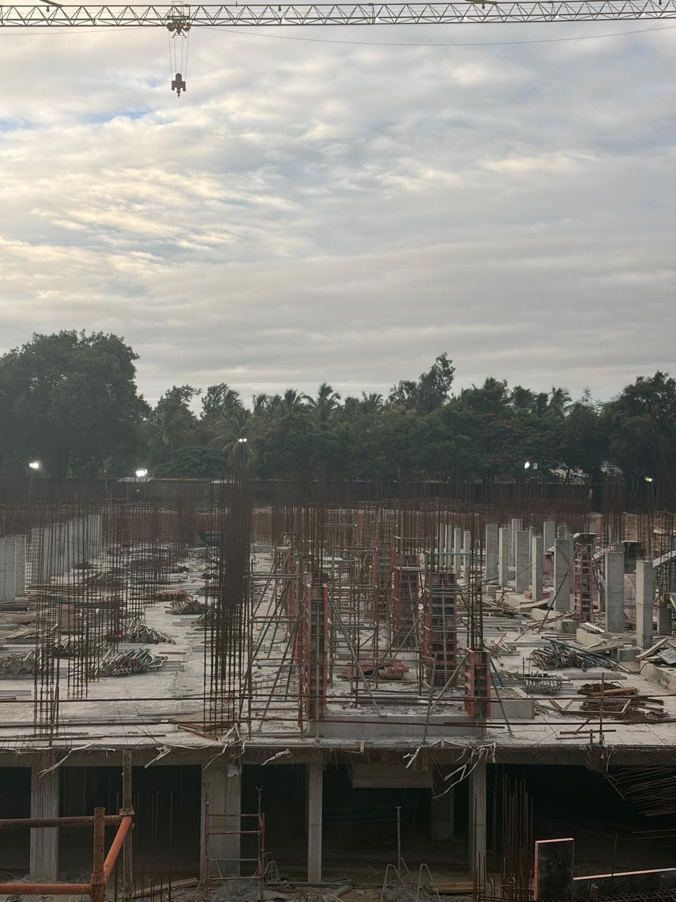 Sattva Songbird, Registered 6 Sep 2024: site photograph 2