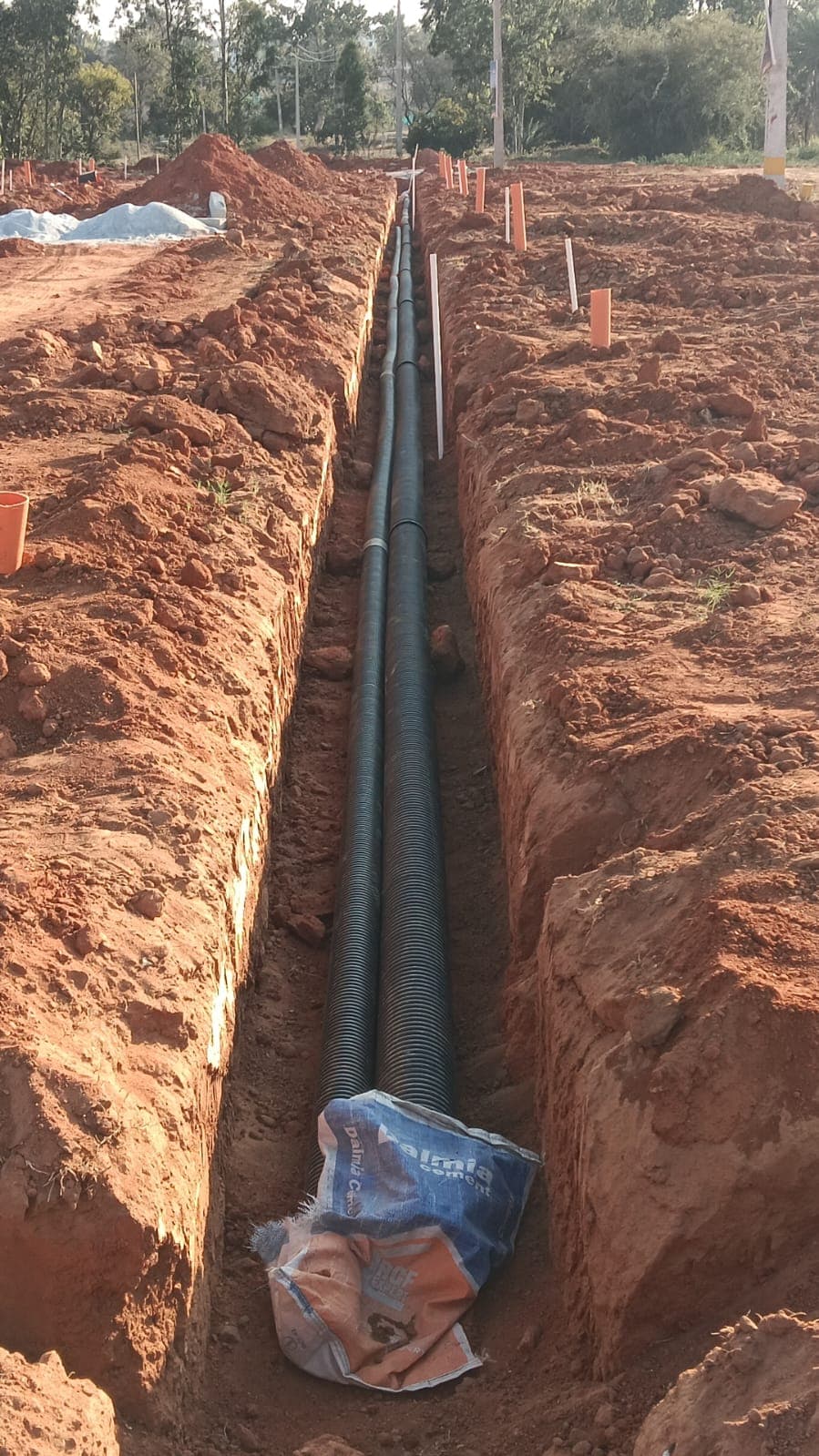 Lake Botanica - Phase 2 site photograph 1