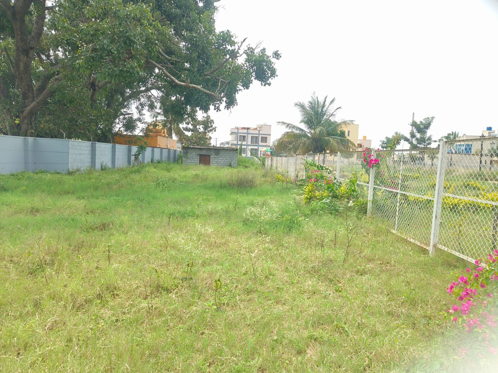 Jr Strr Enclave site photograph 1